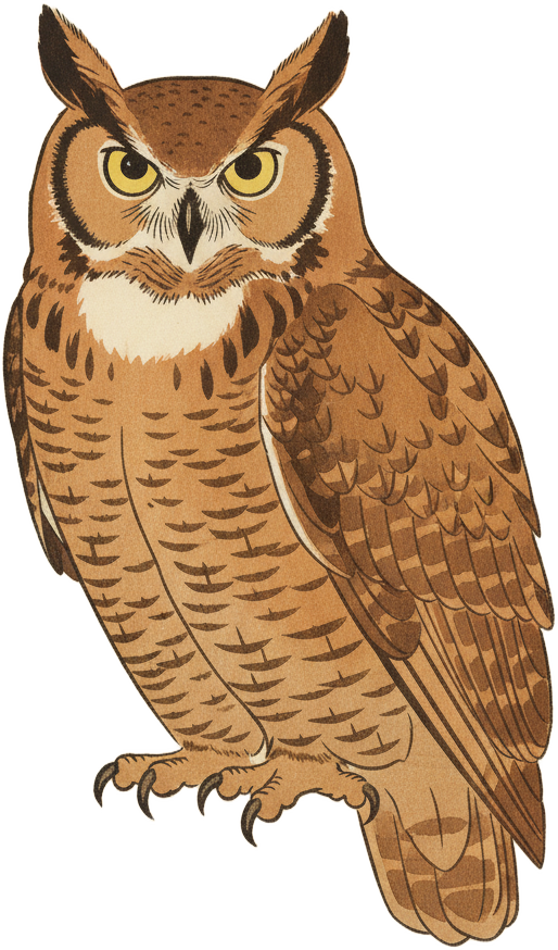 Great Horned Owl