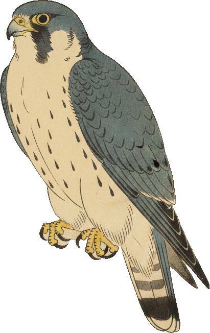 Merlin