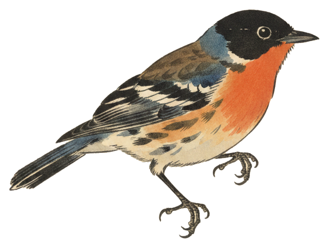 Blackburnian Warbler