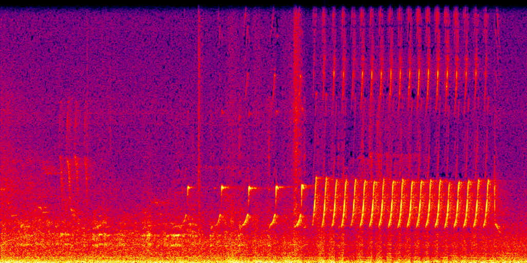 spectrogram