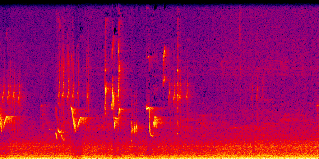 spectrogram