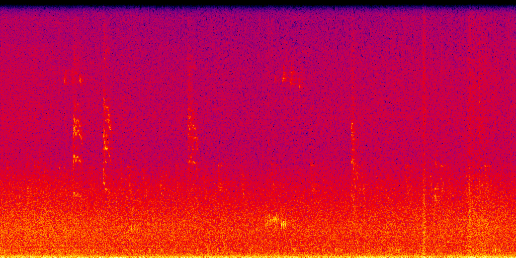 spectrogram