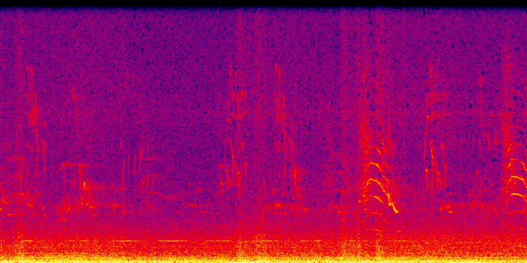 spectrogram