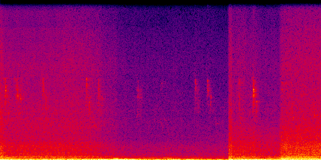 spectrogram