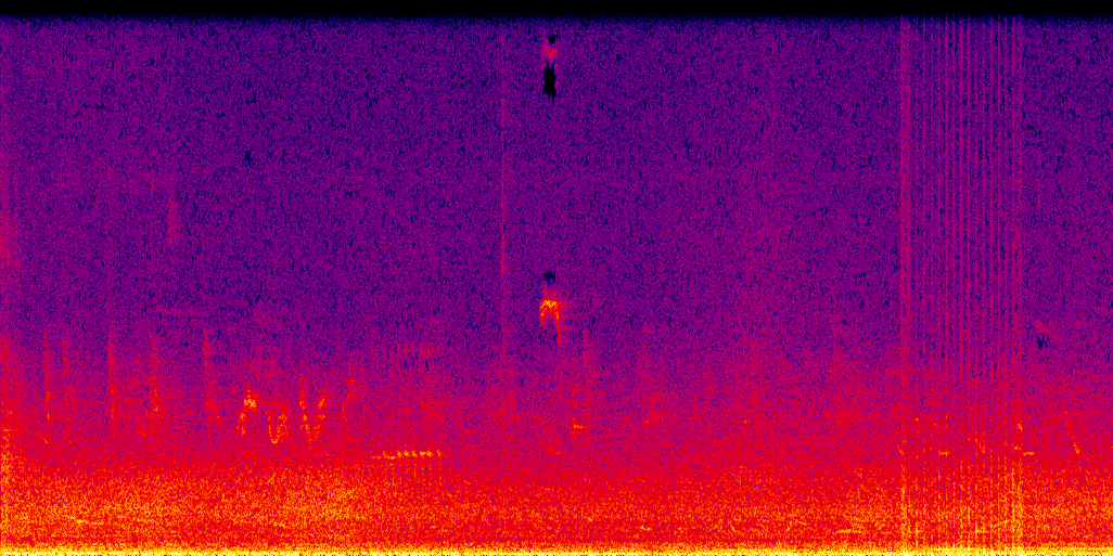 spectrogram