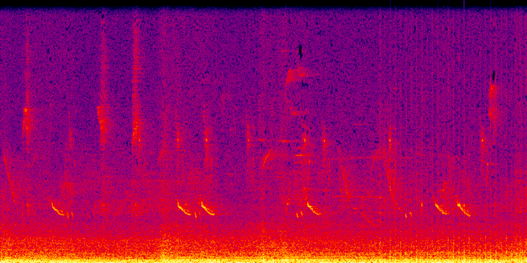 spectrogram