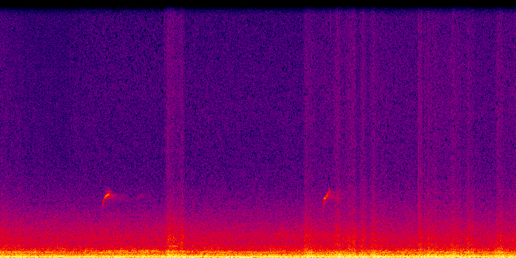 spectrogram