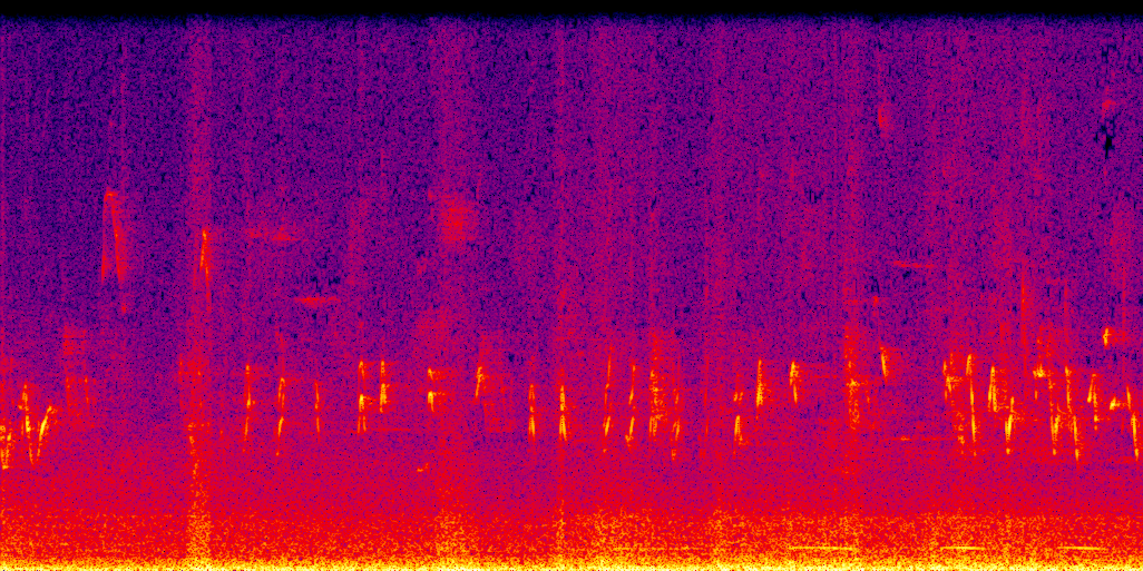spectrogram
