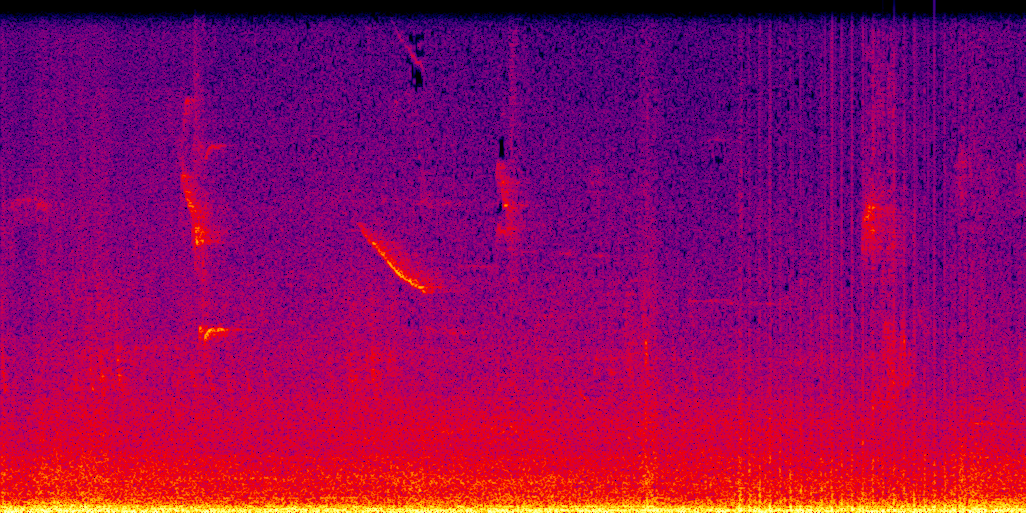 spectrogram