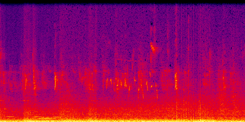 spectrogram