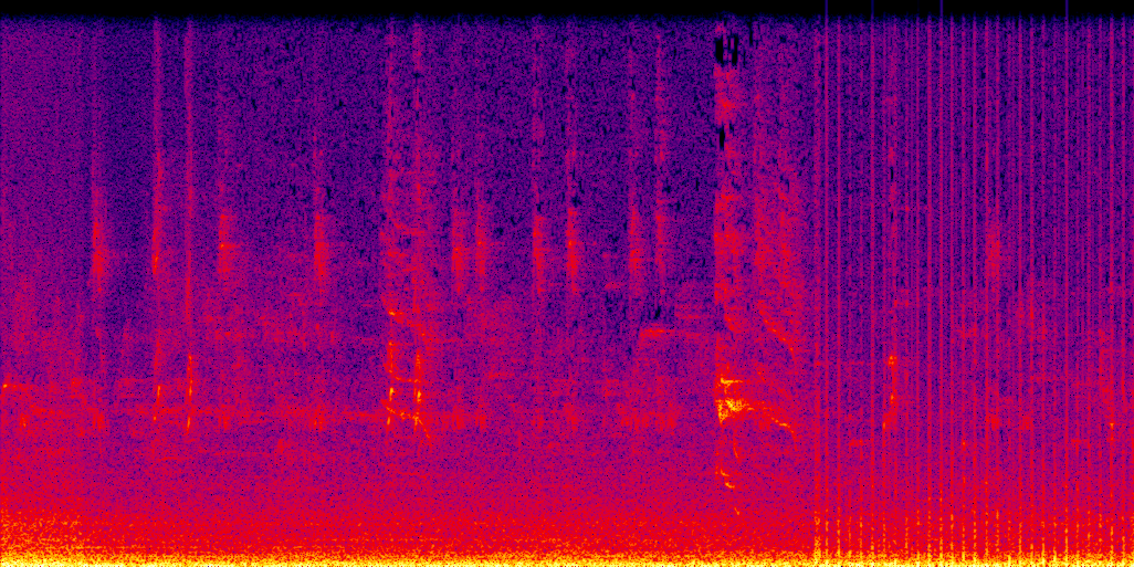 spectrogram
