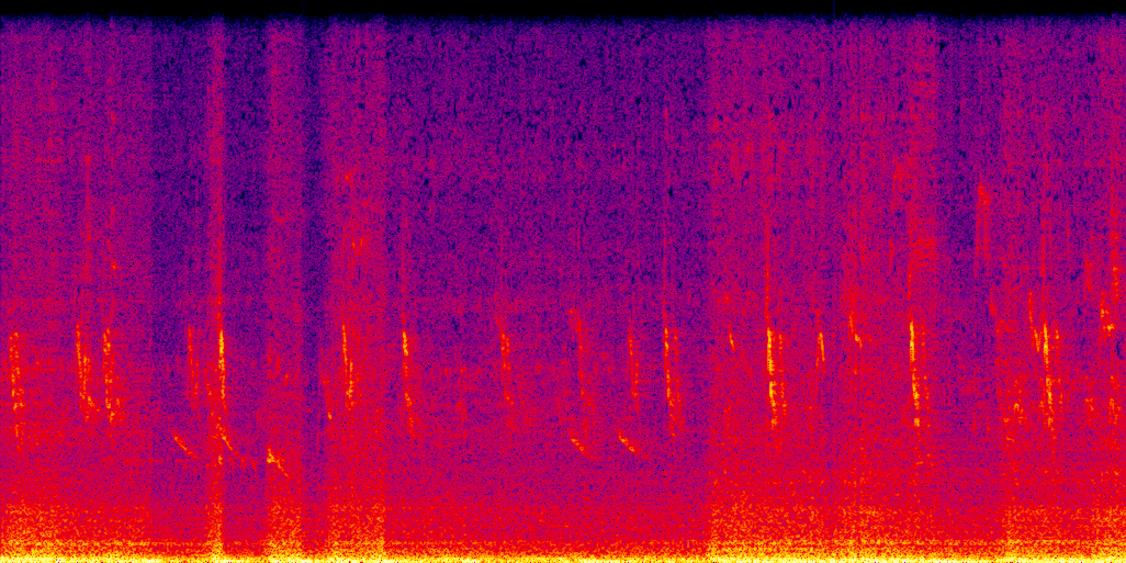 spectrogram