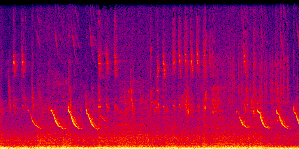 spectrogram