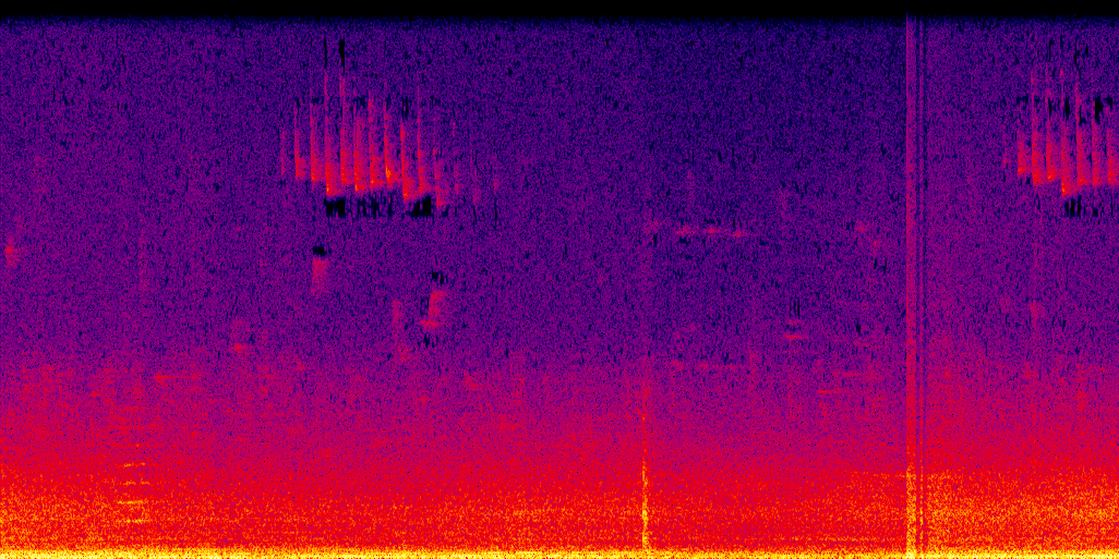 spectrogram