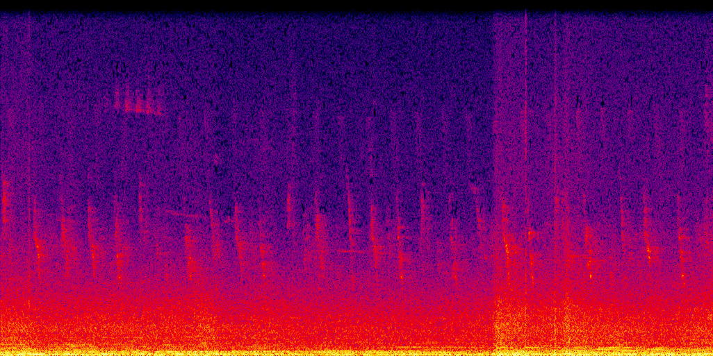 spectrogram