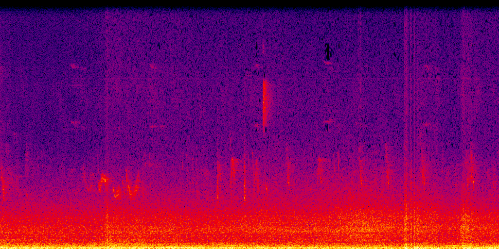 spectrogram