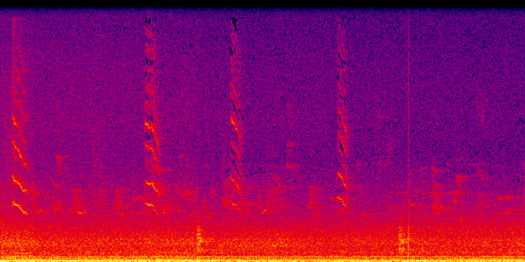 spectrogram