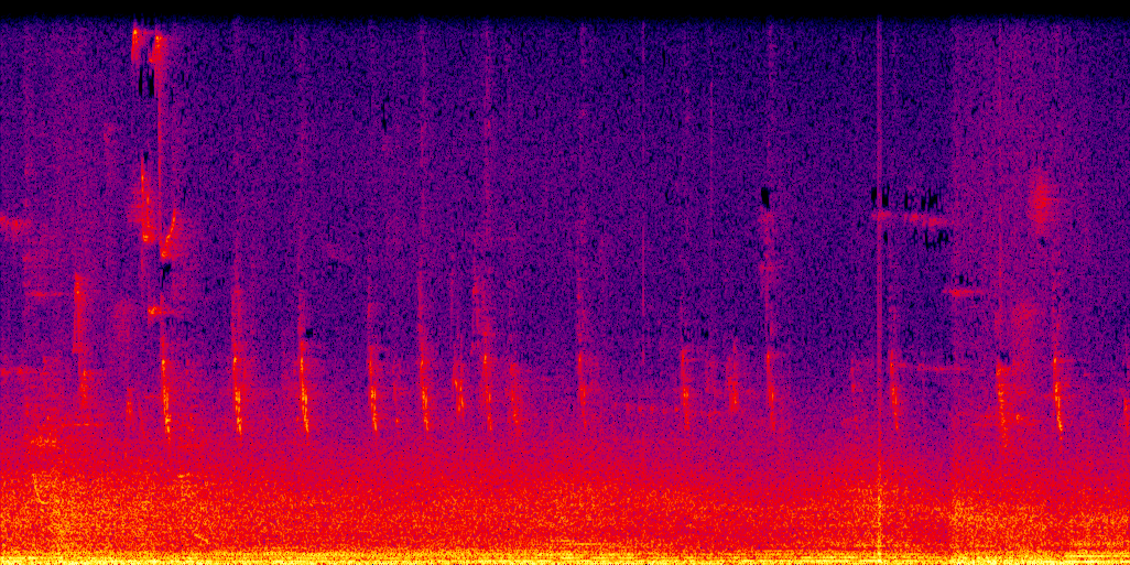 spectrogram