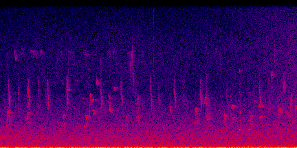 spectrogram