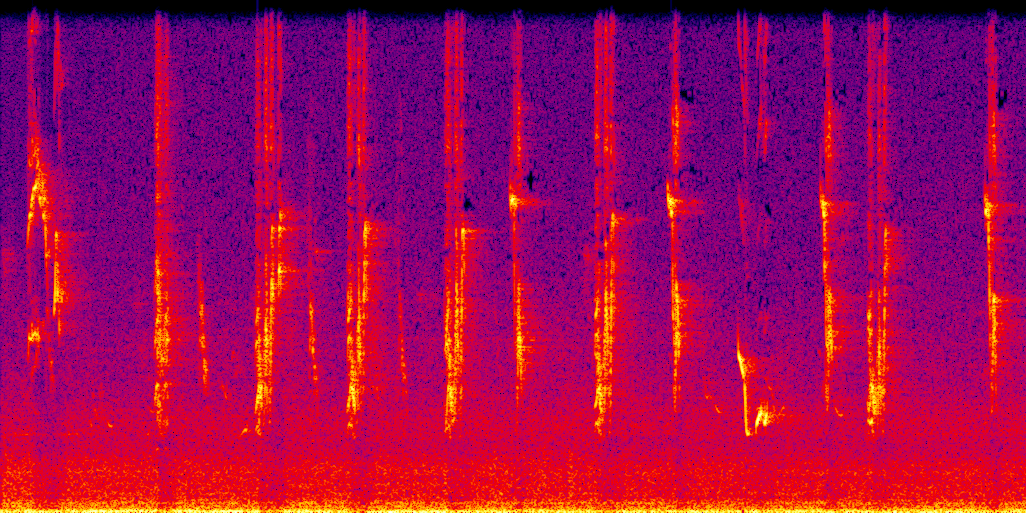 spectrogram
