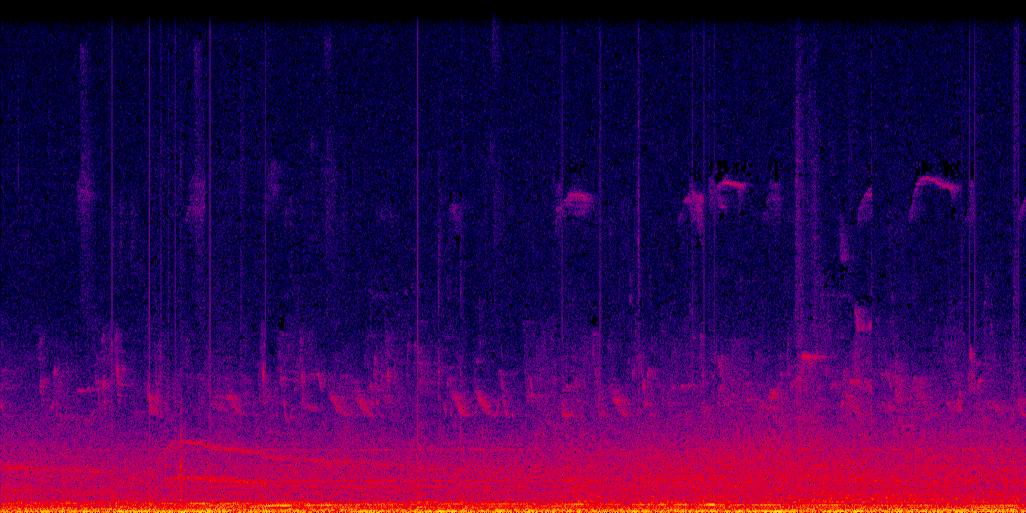 spectrogram