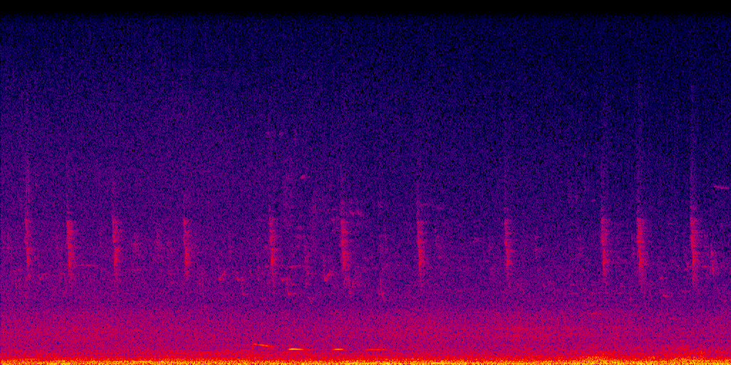 spectrogram