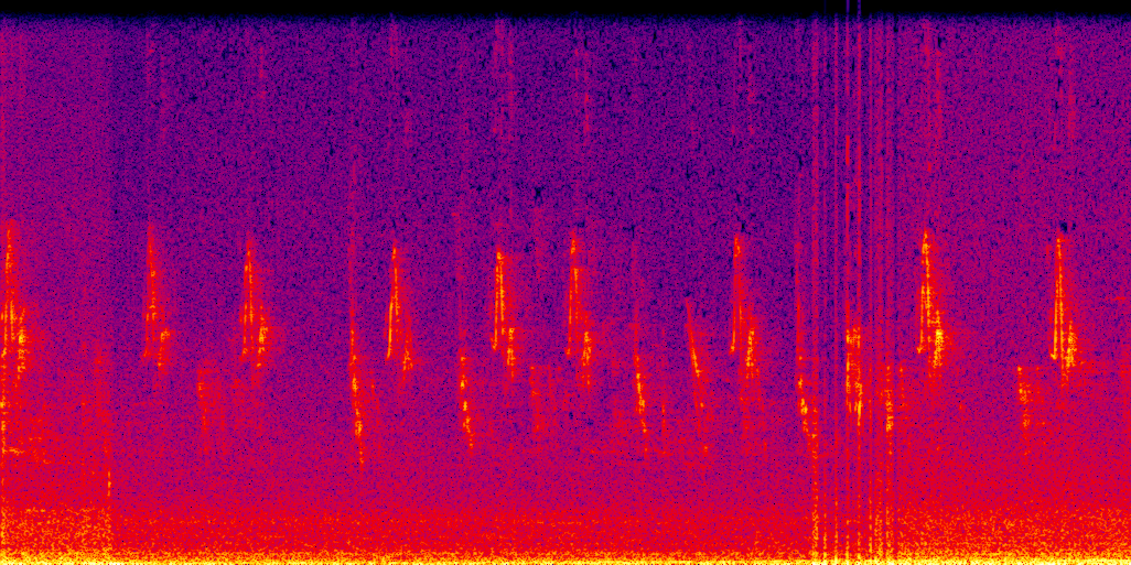 spectrogram
