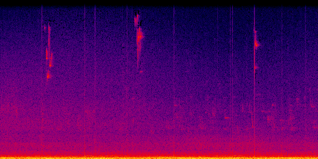 spectrogram