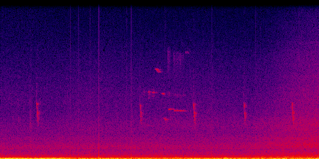 spectrogram