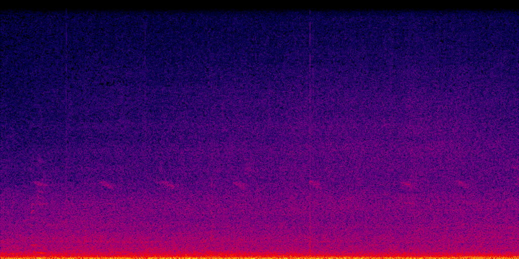 spectrogram