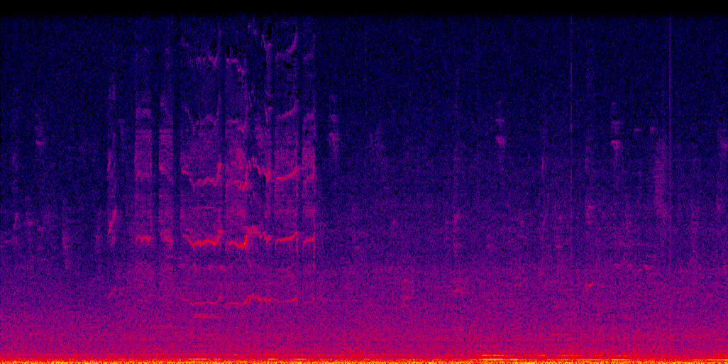 spectrogram