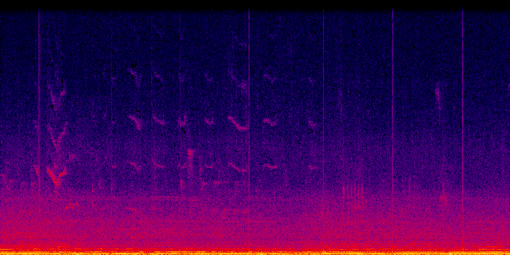 spectrogram