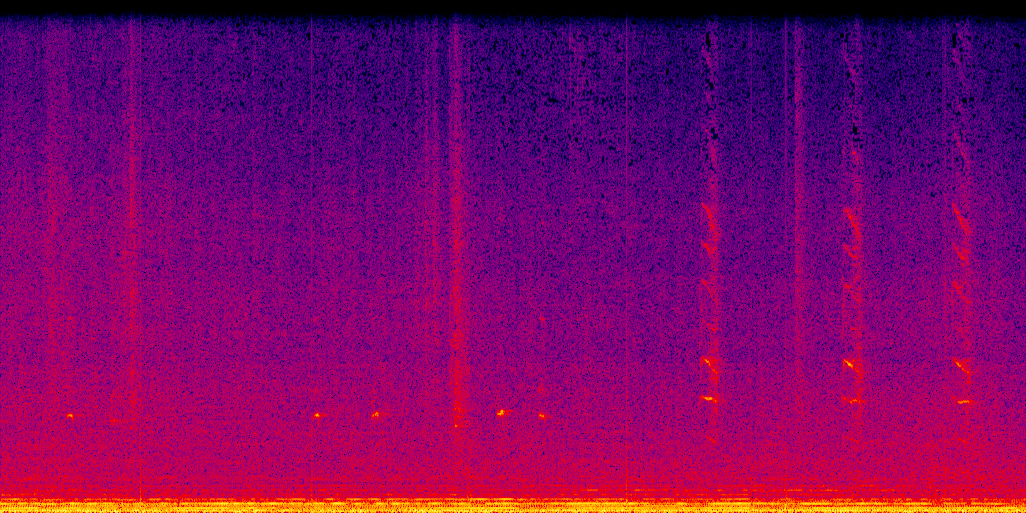 spectrogram