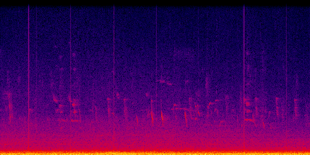 spectrogram