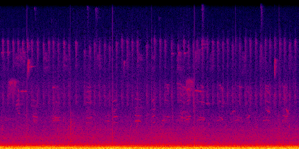 spectrogram