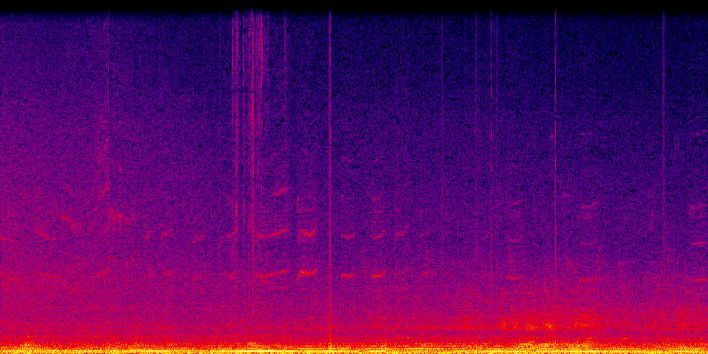 spectrogram