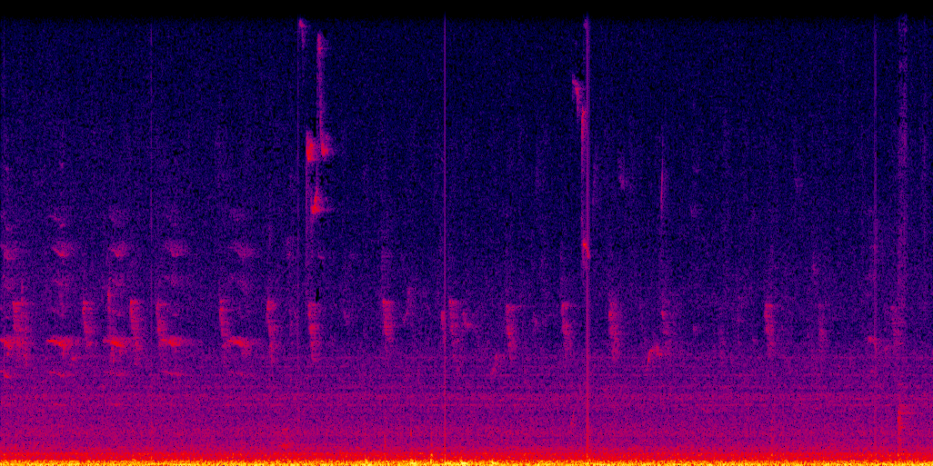 spectrogram