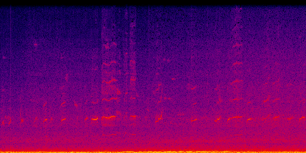 spectrogram