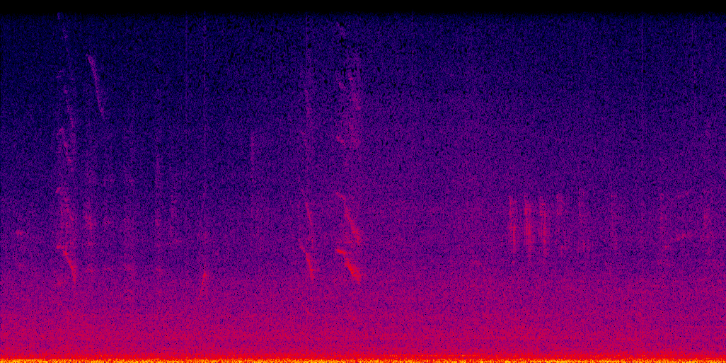 spectrogram