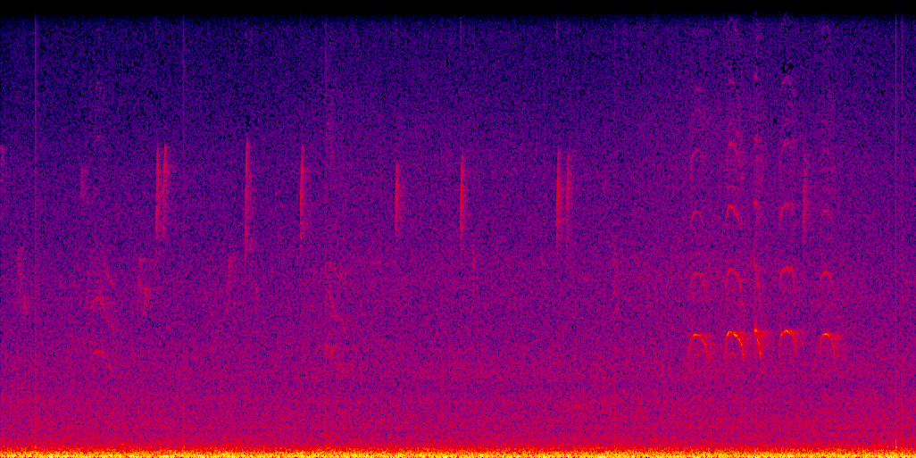 spectrogram