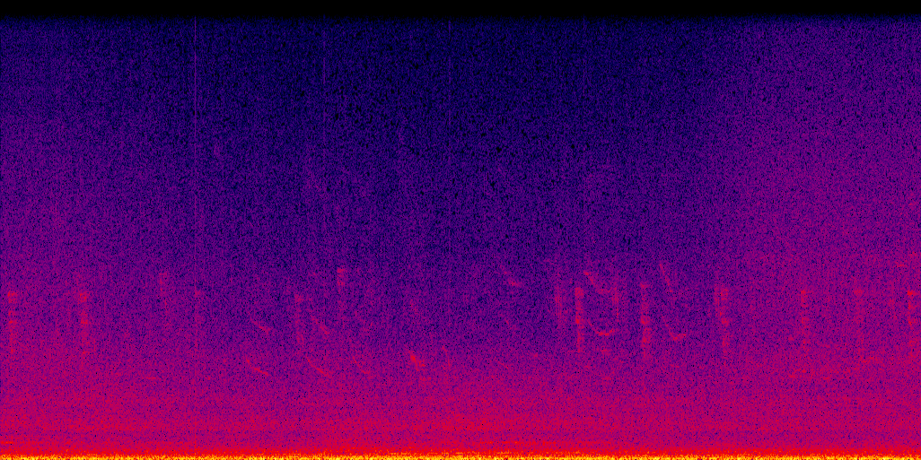 spectrogram