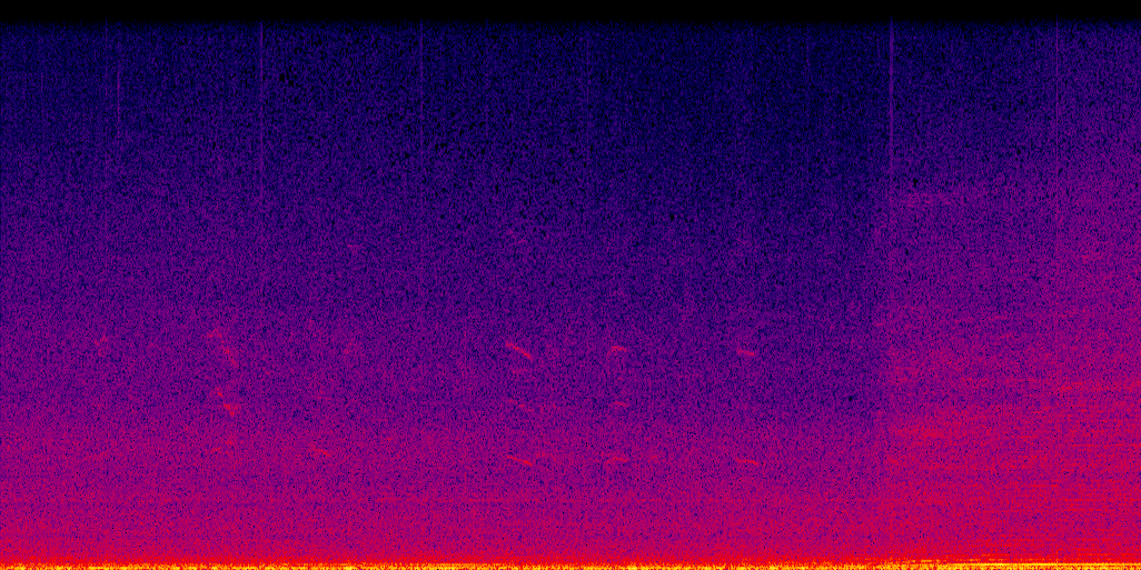 spectrogram