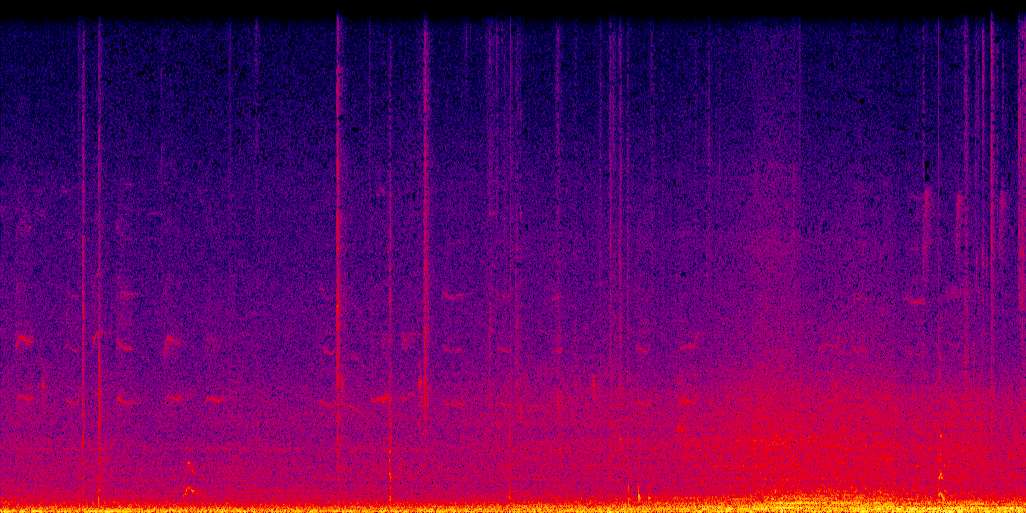 spectrogram