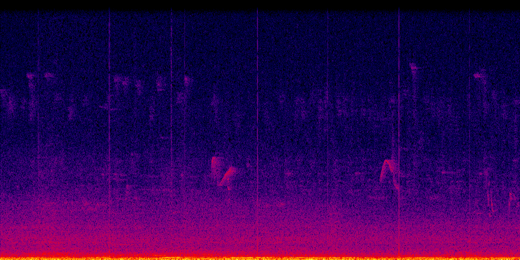 spectrogram