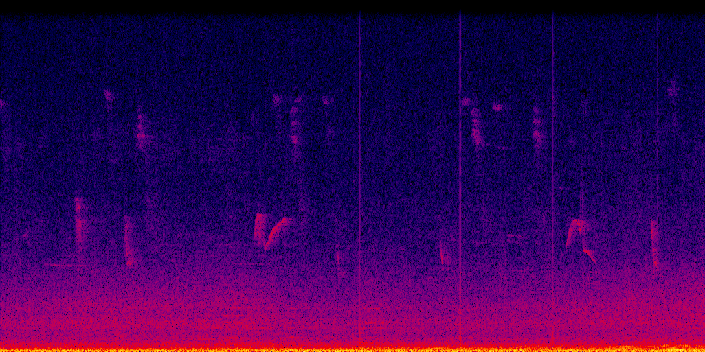 spectrogram