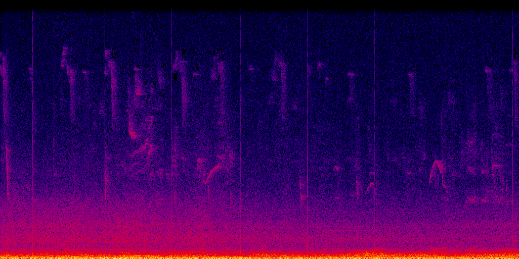 spectrogram
