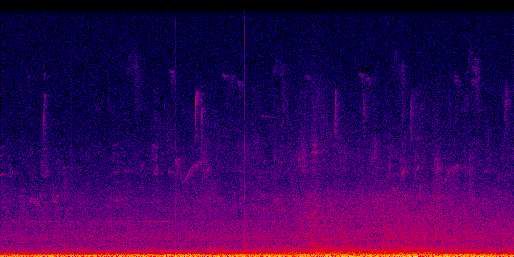 spectrogram