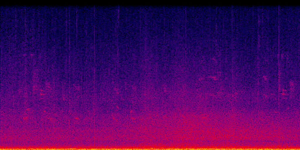 spectrogram
