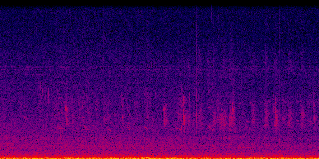 spectrogram