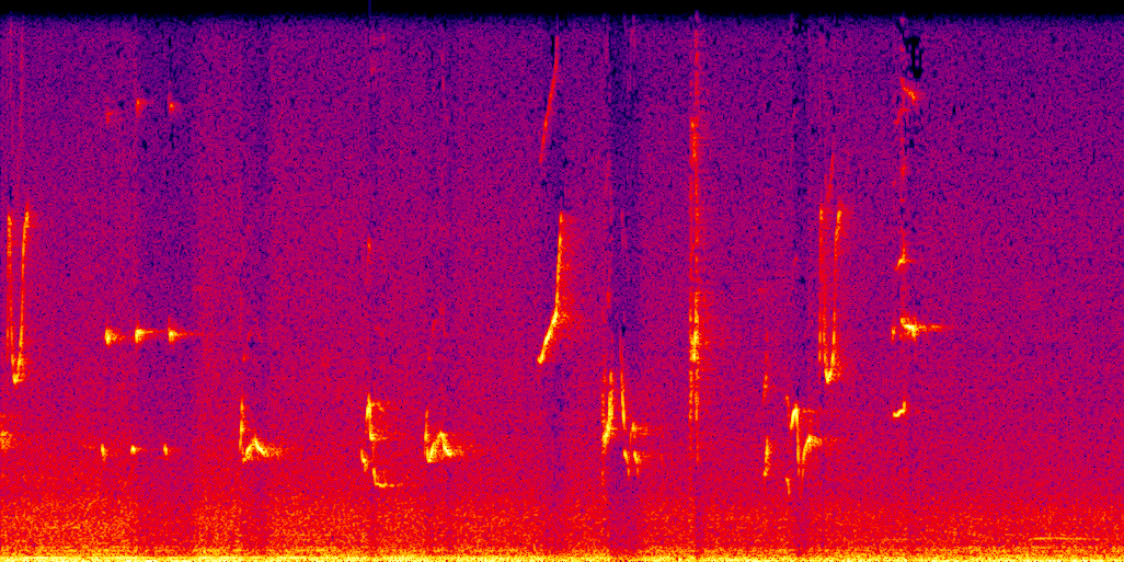 spectrogram